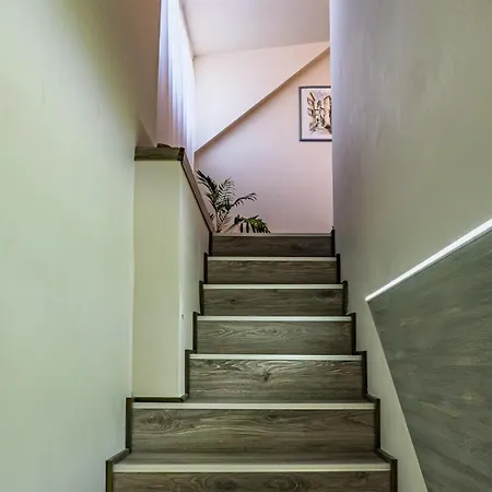 Profi Keco 발라톤알마디